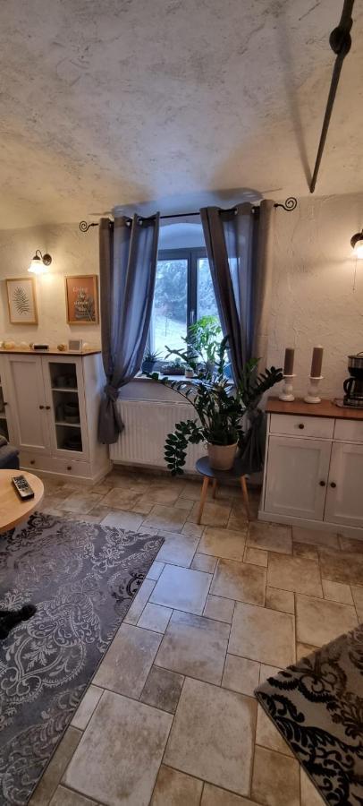 Monteur-Ferienwohnung Ot Naundorf Naundorf  Eksteriør bilde