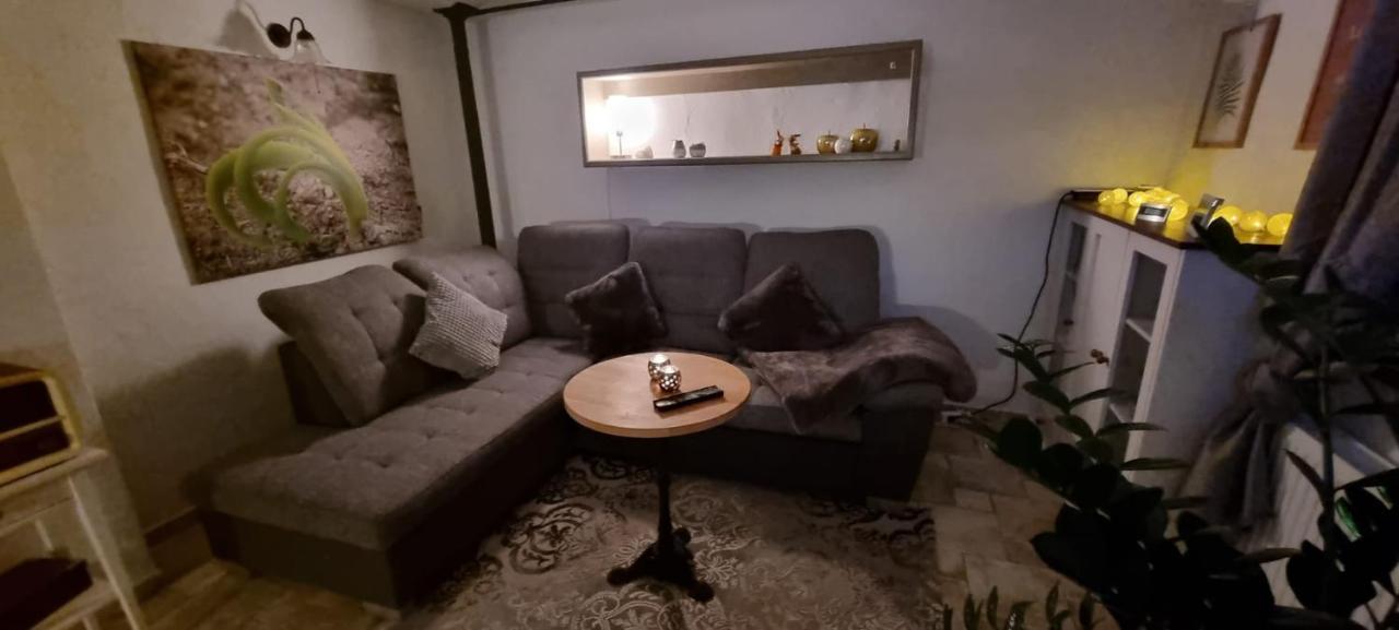 Monteur-Ferienwohnung Ot Naundorf Naundorf  Eksteriør bilde